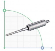 Rotor de motor eléctrico para 777312 Aquatica (777312039) Rotor de motor eléctrico para 777312 Aquatica (777312039)