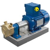 Wirbelpumpe für den Schiffssektor LIVERANI GR ADPE SPECIAL 30, 75 l/min, TF 0,75 kW, 1400 U/min, 380 V, Ex, Bronze Wirbelpumpe für den Schiffssektor LIVERANI GR ADPE SPECIAL 30, 75 l/min, TF 0,75 kW, 1400 U/min, 380 V, Ex, Bronze