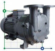 2BV5111, AISI 316 вакуумный насос для агрессивных газов 2BV5111, AISI 316 вакуумный насос для агрессивных газов