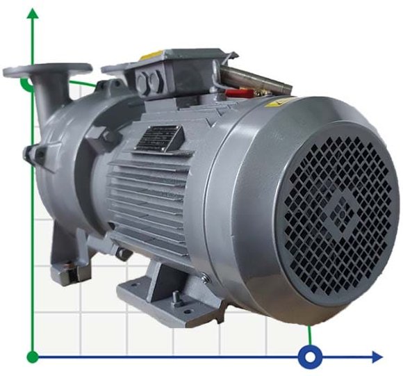 2BV5111, AISI 316 вакуумный насос для агрессивных газов 2BV5111, AISI 316 вакуумный насос для агрессивных газов