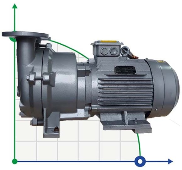 2BV5111, AISI 316 вакуумный насос для агрессивных газов 2BV5111, AISI 316 вакуумный насос для агрессивных газов