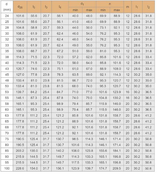 Kartusche Dichtung R–Converter 48, SIC/SIC, VITON, 304