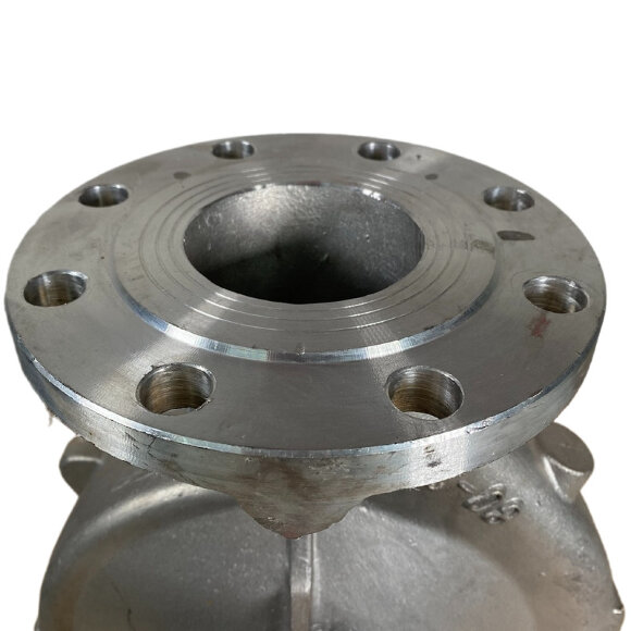 Корпус насоса BGWH 80-200A AISI304