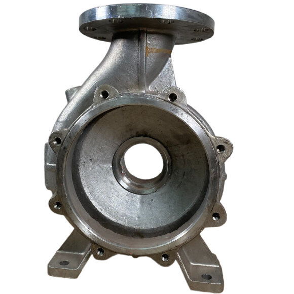 Корпус насоса BGWH 80-200A AISI304