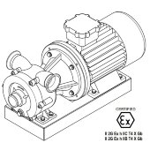 Wirbelpumpe für den Schiffssektor LIVERANI GR ADPE NAUTIC 70, 500 l/min, TF 7,5 kW, 1400 U/min, 380 V, Ex, Bronze Wirbelpumpe für den Schiffssektor LIVERANI GR ADPE NAUTIC 70, 500 l/min, TF 7,5 kW, 1400 U/min, 380 V, Ex, Bronze