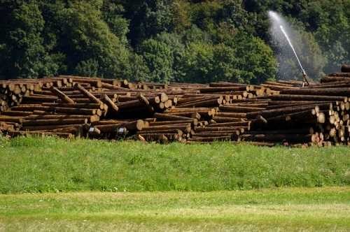 Sprinkler für Bewässerung ATOM35 NPT Sprinkler für Bewässerung ATOM35 NPT