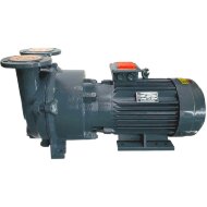 2BV6121, AISI 316, Ех взрывозащищенный вакуумный насос 2BV6121, AISI 316, Ех взрывозащищенный вакуумный насос
