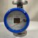 DN25 stainless steel flow meter rotameter KLZZ PN16 (liquid Alcohol mixture C2H5OH 96%), 250..2500 l/h, 4-20mA, Ex