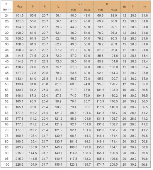 Kartusche Dichtung R–Converter 65, SIC/SIC, VITON, 304