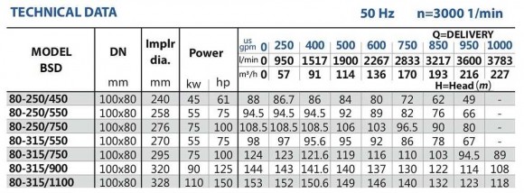 Pumpstation für Bewässerung BSD 80-250/550