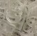 Pall Ring made of Polyethylene (PE), 50 mm, VFF (m3)