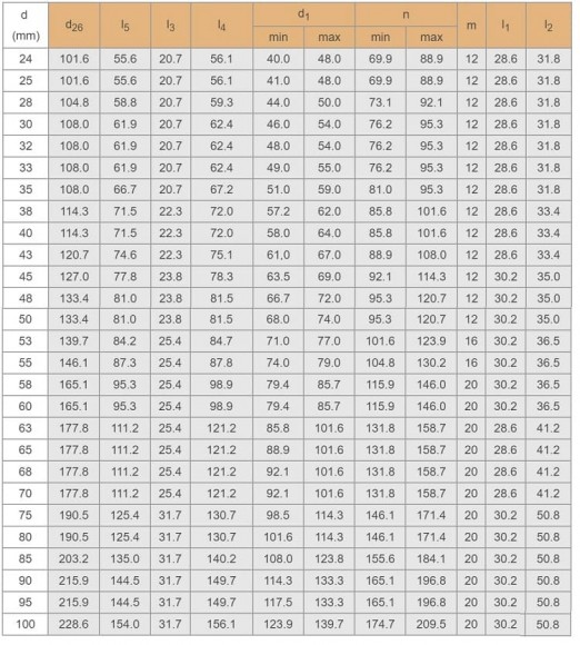 Kartusche Dichtung R–Converter 80, SIC/SIC, VITON, 304