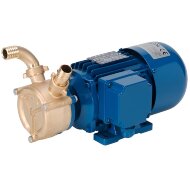 Bomba vórtex de anillo líquido para sector marino EP 25, 60 l/min, MF/M 0,45 kW, 2800 rpm, 220 V, bronce Bomba vórtex de anillo líquido para sector marino EP 25, 60 l/min, MF/M 0,45 kW, 2800 rpm, 220 V, bronce