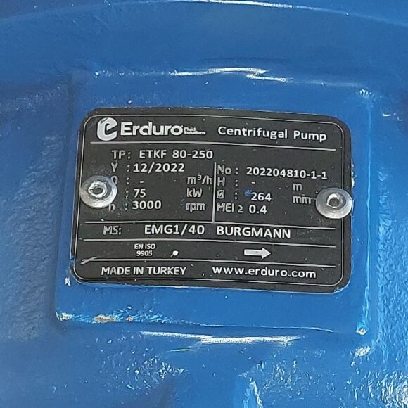 Cantilever Single Stage Pump BTKF 80-250, 75kW, imp 264mm, 3000 