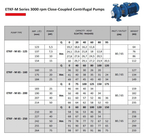 Pompa wieży chłodniczej monoblokowa ETKF-M 65-250, 22 kW, 3000