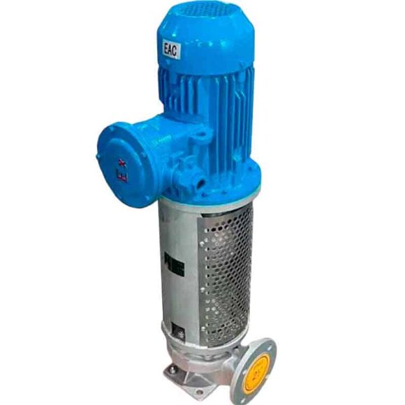 Pompe à huile thermique verticale 350 degrés Celsius LQLRY40-40-210/2-CEX, 6.3 m3/h, 50 m, 4 kW, 2900 rpm, Ex