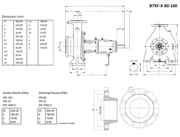 Bomba de aceite caliente BTKF-K 80-160 (3000) sin motor Bomba de aceite caliente BTKF-K 80-160 (3000) sin motor