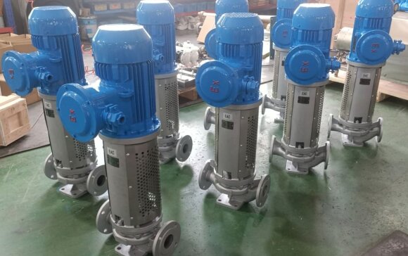 Vertikale Thermalölpumpe LQLRY50-50-210/2-CEX, 12,5 m3/h, 50 m, 5,5 kW, 2900 U/min, Ex