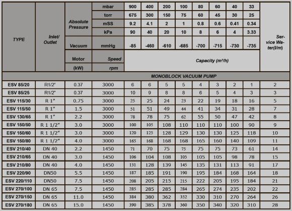 Вакуумный насос ESV 270/100, AISI 304, 285 м3/ч, 7,5 кВт, 1450 об/мин для агрессивных газов