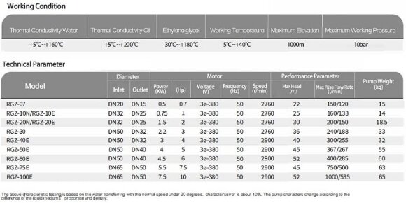 Насос термомасла RGZ-50E, -30°C+200°C Насос термомасла RGZ-50E, -30°C+200°C