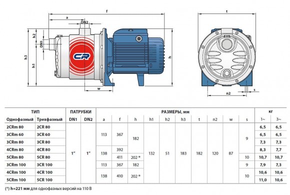 5CR 100 насос відцентровий Pedrollo