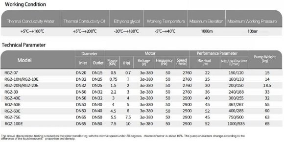 Thermalölpumpe RGZ-60E -30°C+200°C