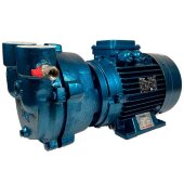 Vacuum water ring pump ESV 150/60, 130 m3/h, 3 kW, 3000 rpm Vacuum water ring pump ESV 150/60, 130 m3/h, 3 kW, 3000 rpm