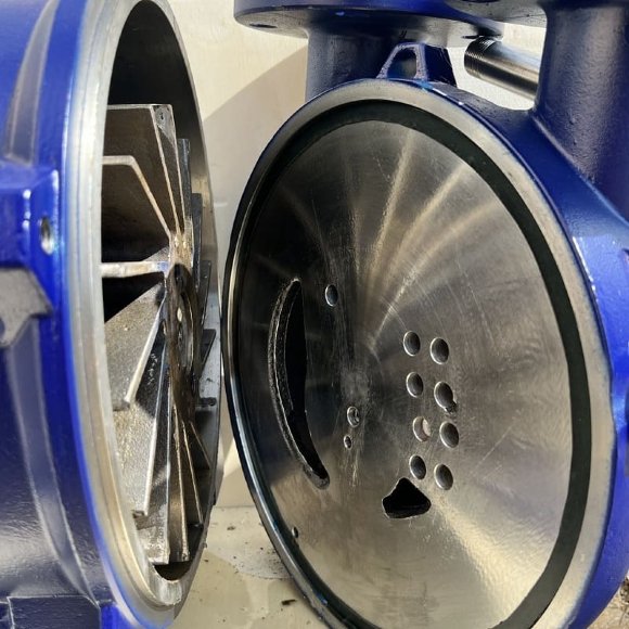 Вакуумный насос 2BV5131 Ex (AISI 316)