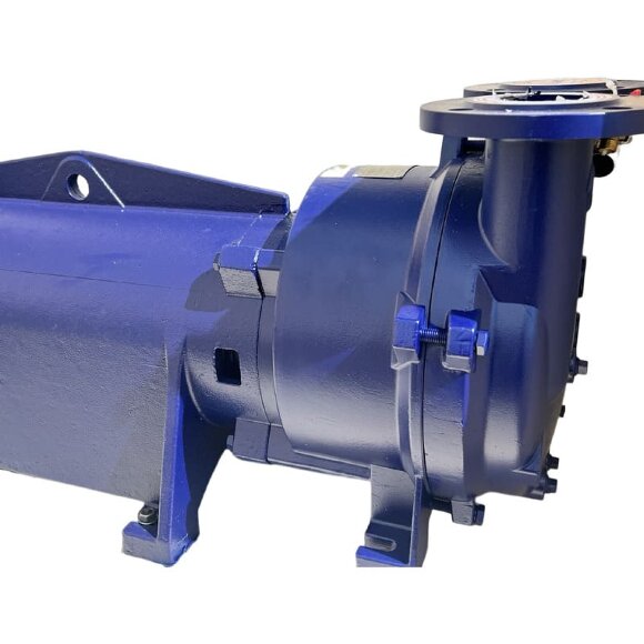 Вакуумный насос 2BV5131 Ex (AISI 316)