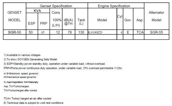 Generador diesel industrial SOYGEN SG50R con ATS y motor Ricardo 50kVA, 40kW, 380V/50HZ tipo cerrado