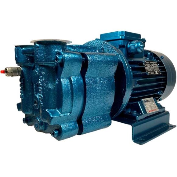 Вакуумный насос водокольцевой для сушки ESV 130/65, 78 м3/ч, 2,2 кВт, 3000 об/мин Вакуумный насос водокольцевой для сушки ESV 130/65, 78 м3/ч, 2,2 кВт, 3000 об/мин