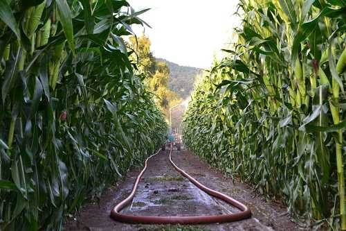 Machine d'irrigation (irrigation) Irriforce MICO TD2000 200