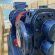 Bomba de engranajes para aceite de girasol sin refinar EMSE EDP 1030, DN80, 30 m3/h, 3 bar, 7,5 kW, 380V, 1000 rpm