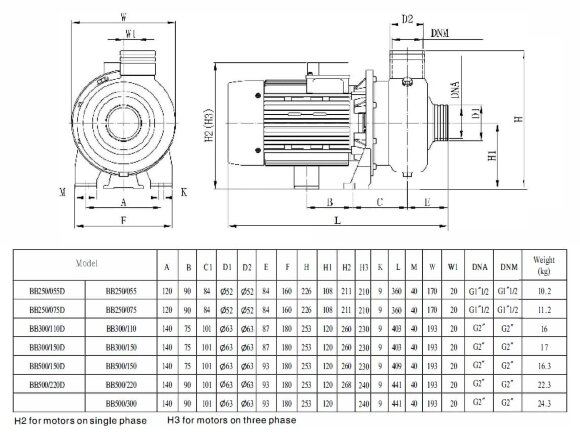Центробежный насос BB300/110, AISI304, 380V/50Hz, 2900