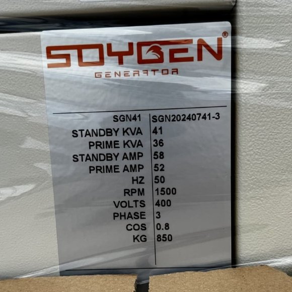 Générateur diesel industriel SOYGEN SG41R avec ATS et moteur Ricardo 41kVA, 33kW, 380V/50HZ type fermé