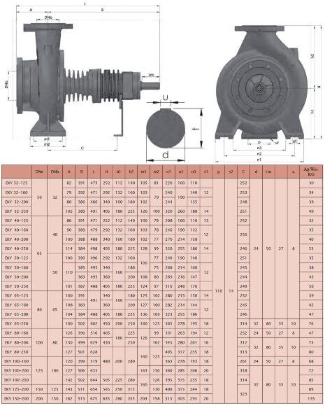 Bomba de aceite caliente EMSE EKY 32-250, 11 kW, 2900 con acoplamiento de bastidor, sin motor Bomba de aceite caliente EMSE EKY 32-250, 11 kW, 2900 con acoplamiento de bastidor, sin motor