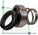 Одинарное торцевое уплотнение R-BT-RN 38, SIC/SIC, VITON, 304, T8RN