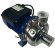 Pompe centrifuge pour solution glycolée BB250/075D, AISI304, 220V/50Hz, 2900