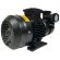 Pompe à huile vortex WM-20, 380V -30°C+200°C