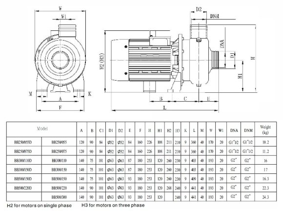 Центробежный насос BB300/110D, AISI304, 220V/50Hz, 2900