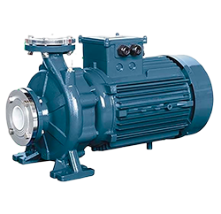 Monoblock water pumps