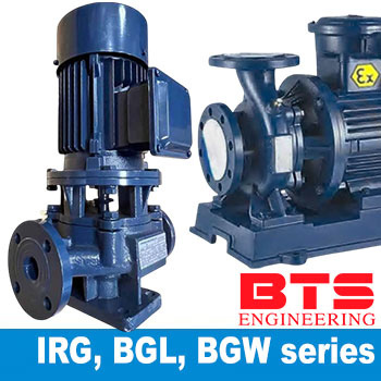 Насоси з сухим ротором з чавуну IRG