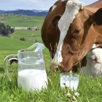 Milk pumps
