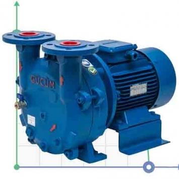 Monoblock liquid ring vacuum pumps GMVP