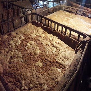 Pumps for stillage, mash