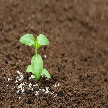Pumps for urea, liquid fertilizers, ammonia