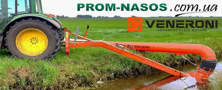 VENERONI