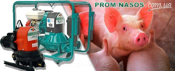 Pumpen für Flüssigfutter