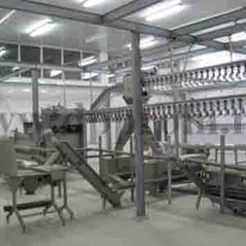 Pumps for giblets and slaughter waste