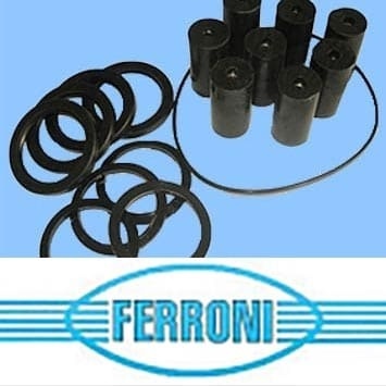 Spare parts for Ferroni pumps